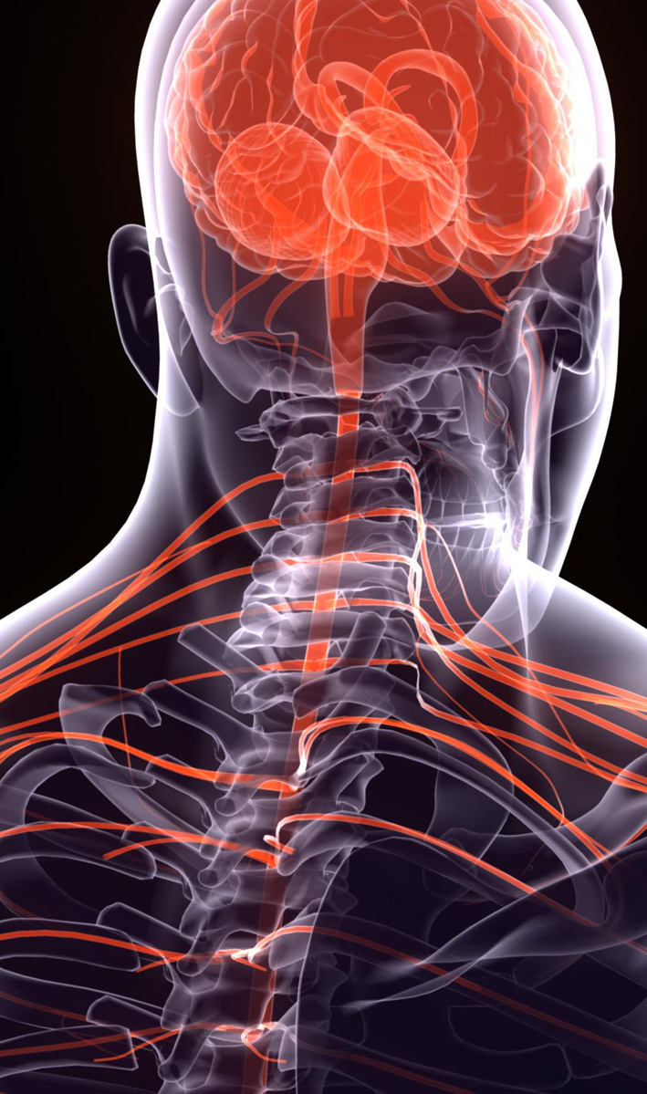 Especialidad de Neurocirugia en Centro Médico Levante Clinic Group en Ondara